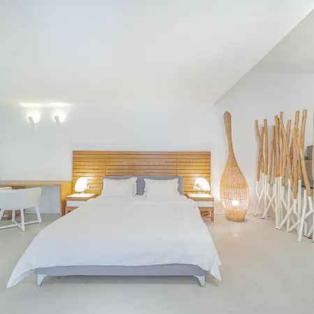 Villa Sanarte Mykonos Agios Ioannis Diakoftis