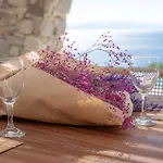 Sanarte Mykonos ヴィラ Agios Ioannis Diakoftis