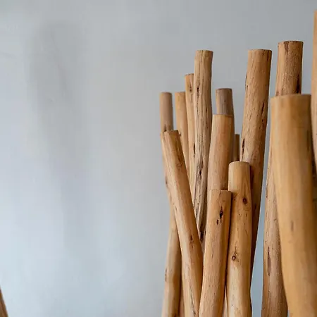 Sanarte Mykonos Villa *